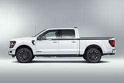 F-150 REGIONAL PACKAGE - TENNESSEE WITH 20" WHEEL