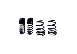 2005-2014 MUSTANG GT STREET LOWERING SPRINGS