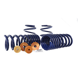 2015-2023 MUSTANG TRACK LOWERING SPRING KIT