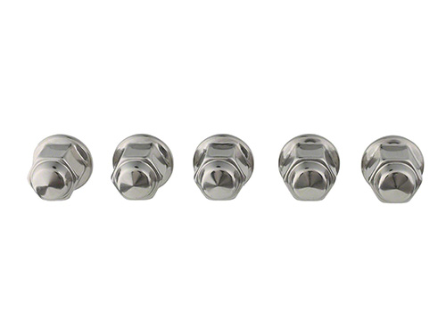 FORD PERFORMANCE  LUG NUT KIT