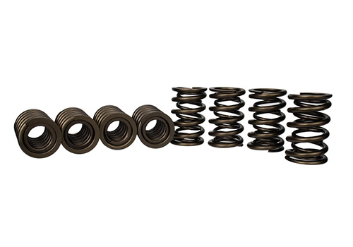 SET OF 8 TVS-1734 VALVE SPRINGS